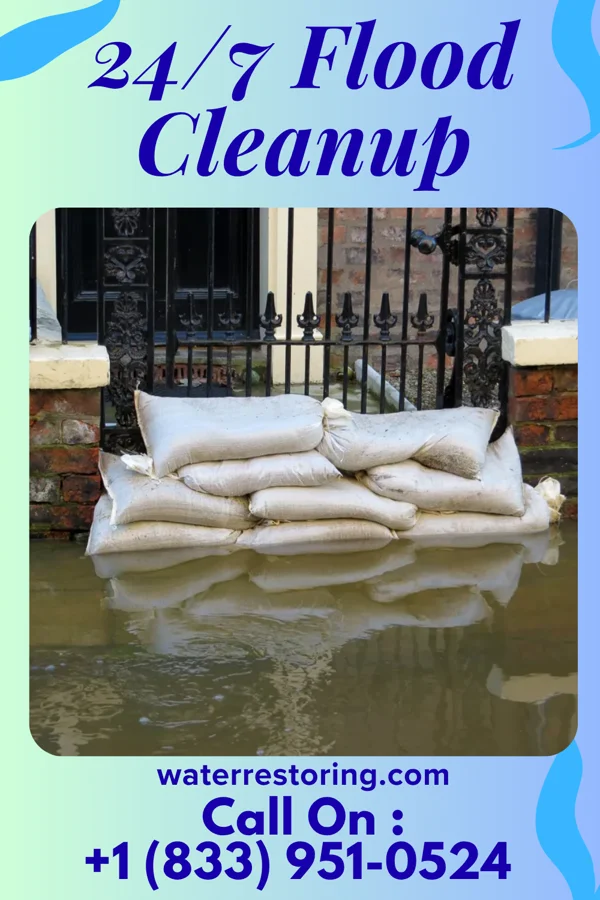 24/7 Flood Cleanup in Roaring Springs, TX
