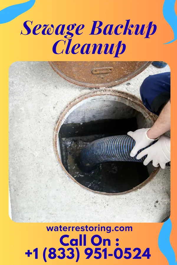 Sewage Backup Cleanup in Roaring Springs, TX